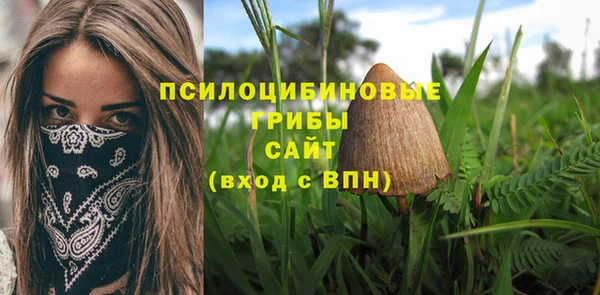 mdpv Алзамай