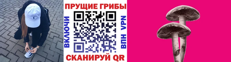 Псилоцибиновые грибы GOLDEN TEACHER Аргун