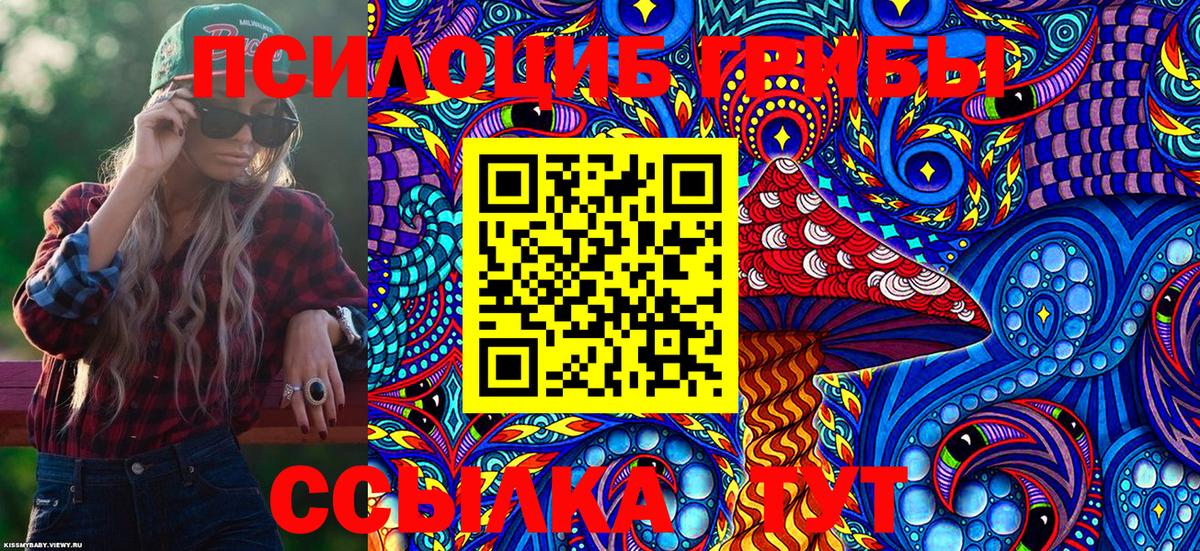 Псилоцибиновые грибы MAGIC MUSHROOMS  Вход с VPN  Аргун 