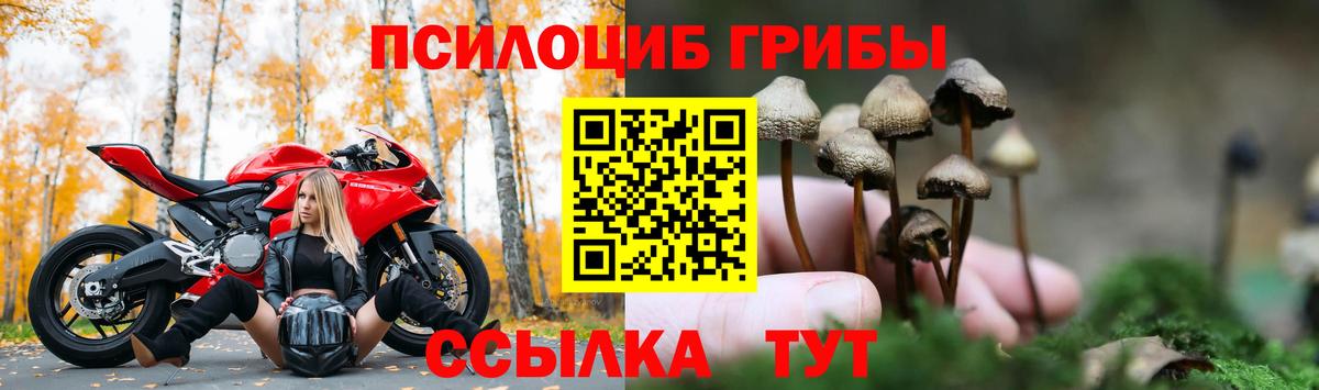 Псилоцибиновые грибы мухоморы Аргун